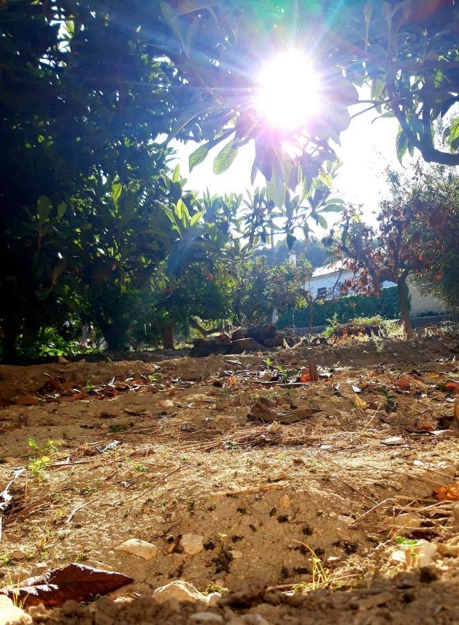 La Caseta بينايمانتل المظهر الخارجي الصورة